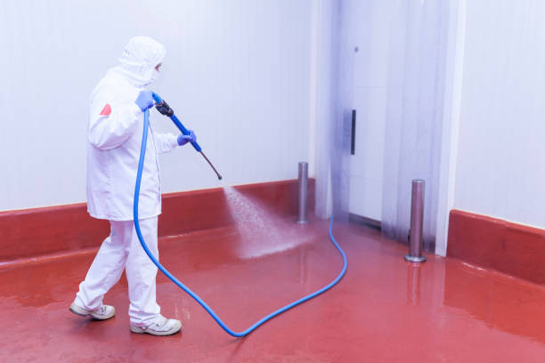 Pre-Holiday Cleaning in Clermont, IN